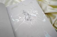 The personal collection of DannyLaiLai, a popular illustrator under the Neon Clouds, features a delicate and romantic texture thumbnail 2