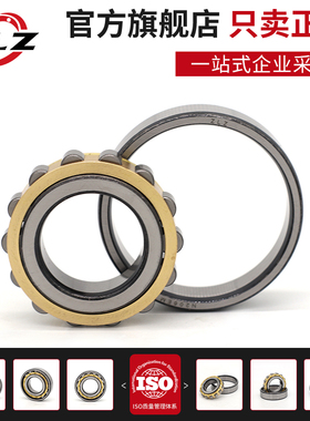 ZLZ圆柱滚子1004 1005N1006 1007轴承1008 1009EM1010 1011 1012