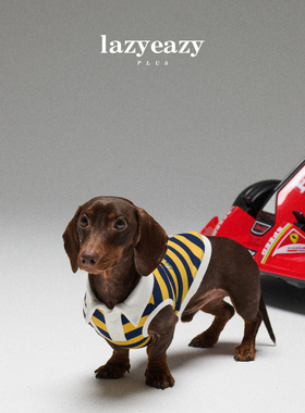 Lazyeazy宠物狗狗衣服条纹刺绣polo衫翻领加厚保暖春秋中小型犬
