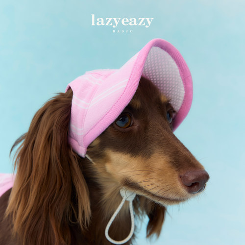 LazyEazy宠物遮阳帽中小型犬腊肠狗狗防晒帽轻薄可调节遛狗帽子