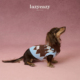 Lazyeazy宠物狗狗衣服费尔岛毛衣春季 保暖舒适节日中小型犬衣服