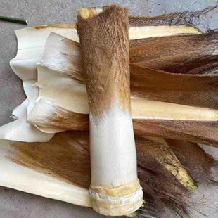 棕榈树心新鲜甜棕树心野棕树尖棕榈芯棕树头棕榈树芯棕榈树棕包芯