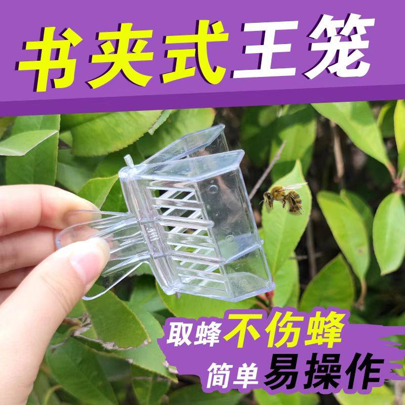 新款蜂王囚王笼书夹式王笼夹子塑料关蜜蜂蜂王囚王笼包邮10个装