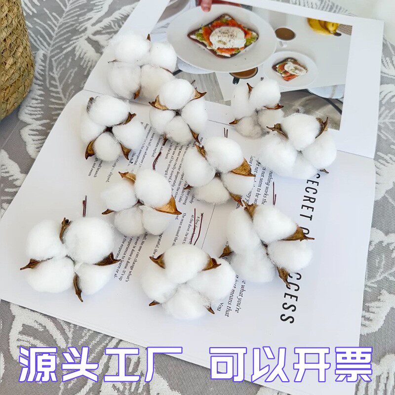 天然木棉花干花手工材料花束家具摆设圣诞树装饰礼盒花盒配件diy