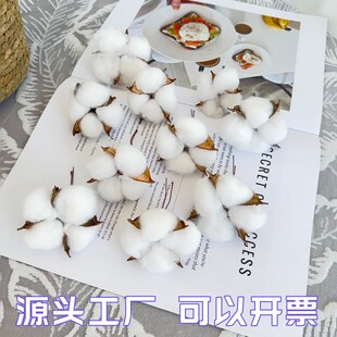 饰小摆件 棉花干花单支真花大枝手工铁丝杆花束鲜花辅料配件插花装