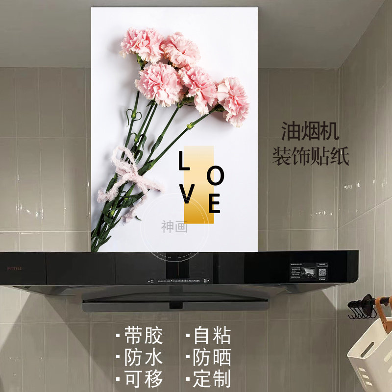 粉北欧油烟机改造遮挡神器自粘