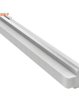 0015979161 -原装[MINIFIT TPA FORHSG30067 & 30068保留密钥