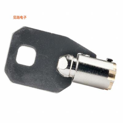 AT4152-038 -[全新SW KEY TUBULAR HIGH SECURITY #38]