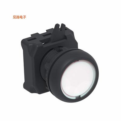 1-2492672-2 -[全新ILLUM. PUSH BUTTON FLUSH WHITE]