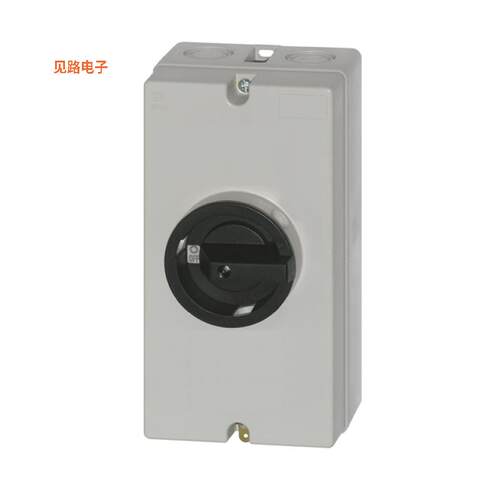 LS55 PFLH4 A2+PF2 -[全新SWITCH 600V 55A]