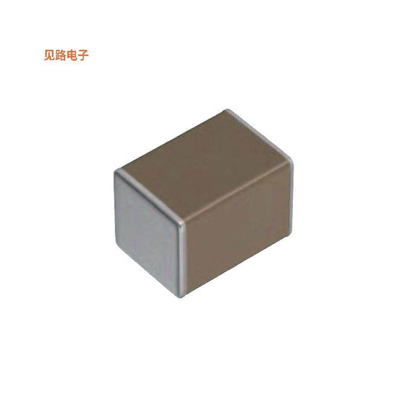 C7563X7S1C107M280LE -原装[CAP CER 100UF 16V X7S 3025100 F