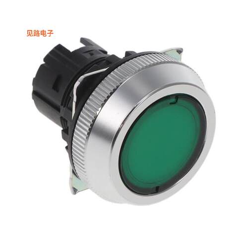 A30NZ-MNM-TGA -[全新CONFIG SW BODY PUSHBUTTON ILLUM]