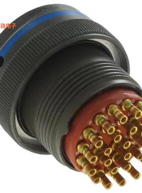 D38999/26JE2PE -原装[38999 PLUG SERIES III插头，公引脚