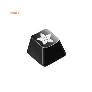 5094 -[全新ADAFRUIT ETCHED R4 KEYCAP FOR MX]