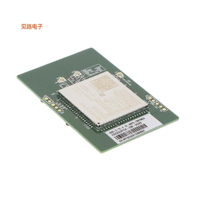 EG25GGBTEA-256-SGNS -原装[RF TXRX MOD CELLULARCAR