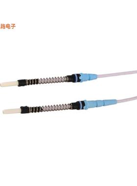 AOT4531-11 -[全新LUMIERE TERMINI, SHORT BOOT,]