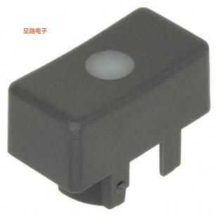 RECT GRY FROST 1R036 LENS TACT WHT 全新CAP