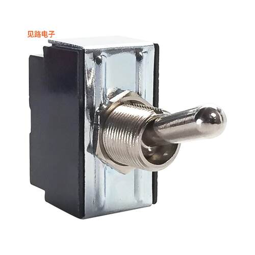 2GK54-78 -[全新SWITCH TOGGLE DPST 15A 125V]