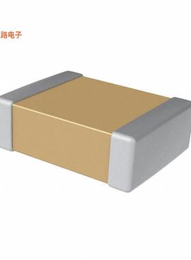 CAS17C102KARGC -原装[CAP CER 1000PF 250VAC X7R 18081000 pF