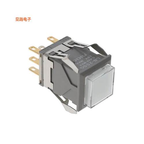 LB25SGG01-5F24-JB -[全新SWITCH PUSH DPDT 0.4VA 28V]