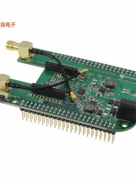 NL-AB-BBCL -原装[SKYWIRE BEAGLE BONE BLACK CAPE L