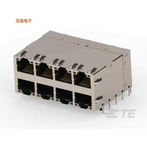 2496727-1 -[全新RJ45 W/MAGNET 2X4 5G LIGHT PIPE]