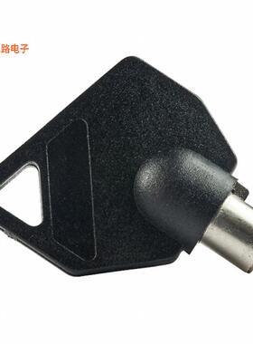 AT4146-021 -[全新SW KEY TUBULAR HIGH SECURITY #21]
