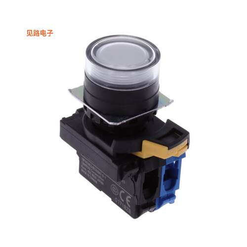 A22NL-BGM-TWA-G100-WC -[全新SWITCH PUSH SPST-NO 10A 120V]
