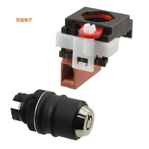A22TK-2LL-01-01 -[全新SWITCH KEYLCK 2POS SPST 10A 110V]
