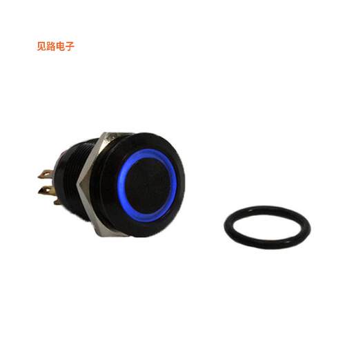 AH1LBBB24 -[全新SWITCH PB DPST-NO/NC 1A 125V]