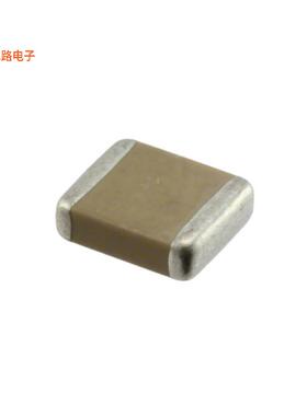 GA255DR7E2104MW01L -[全新CAP CER 0.1UF 250VAC X7R 2220]
