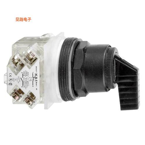 9001SKS11FBH2 -[全新SWITCH SELECTOR 2POS DPDT]