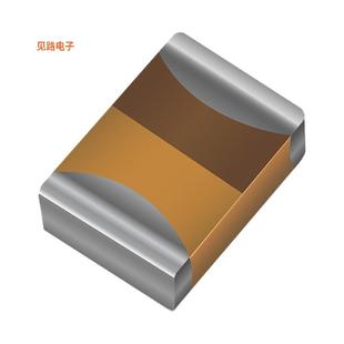 TANT10 CAP 原装 TLCR106M020XTA