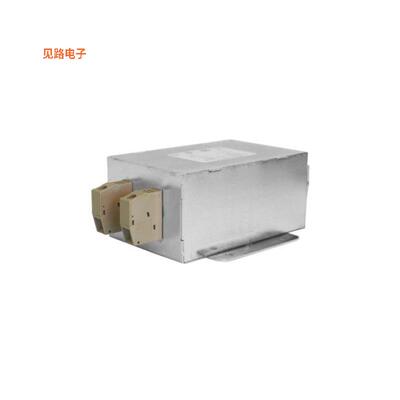 RP600-60-100-C-B -原装[LINE FILTER 100VAC/VDC 60A CHASSDC