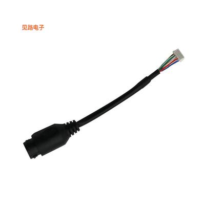 310600350 -[全新ADAPTER SYNC FEMTO MEGA/BOLT]