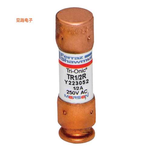 TR1/2R -[全新FUSE,TIME DELAY,CLASS RK5,REJECT]