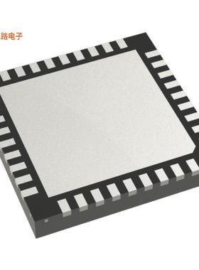 ML610Q306-NNNGDZW5BX -[全新SPEECH PLAYBACK MCUS(8BIT