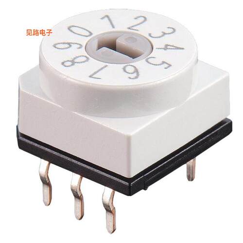 PT65 101 -[全新SWITCH ROTARY DIP  BCD 10POS ARR]