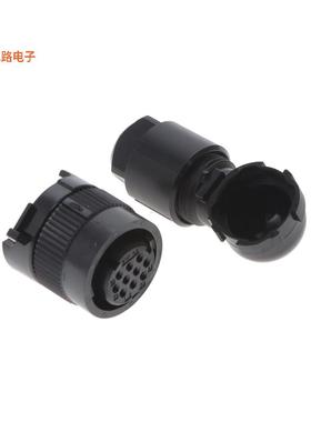 JN1VFS10SL2 -原装[CONN PLG HSG FMALE 10POS RA插头外壳