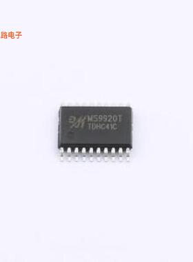 MS9920T -[原装管理TSSOP-20