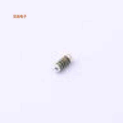 SMM02040C1001FB000 -[原装MELF-0204]