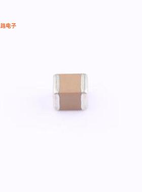 C1210X7R101-106KNE -[原装CAP CER 10UF 100V X7R 12101210