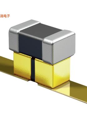 P21BNL300MA04733T -原装[CAP ARRAY 30PF 10V X5R 02013