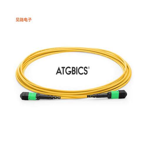 TCAB-12MPOFF-OS2-3M -[全新FIBER OPTIC CBL MPO-MPO SGL 3M]