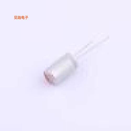 HS1C158M1016PC -[原装固态插件,D10xL16mm