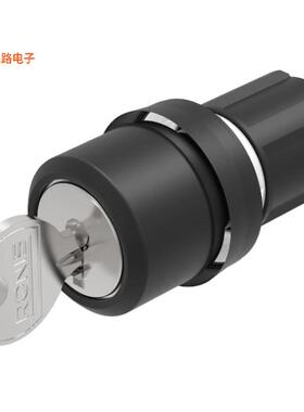 45-290J.1000.111 -[全新CONFIG SW BODY KEYLOCK NON-ILLUM]