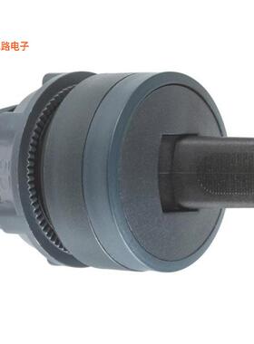 ZB5AD28 -[全新CONFIG SW BODY SELECT NON-ILLUM]