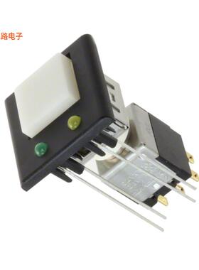 EB2085G-B-J33AFE -[全新SWITCH PUSH DPDT 0.4VA 28V]