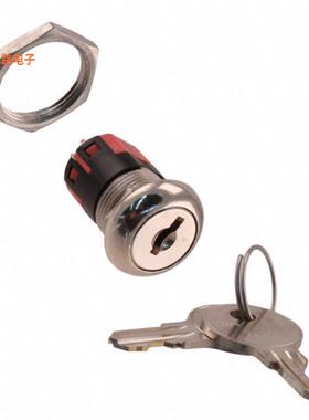 Y2011U2C203NQ -[全新SWITCH KEY 2POS DPDT 4A 125V 4PC]