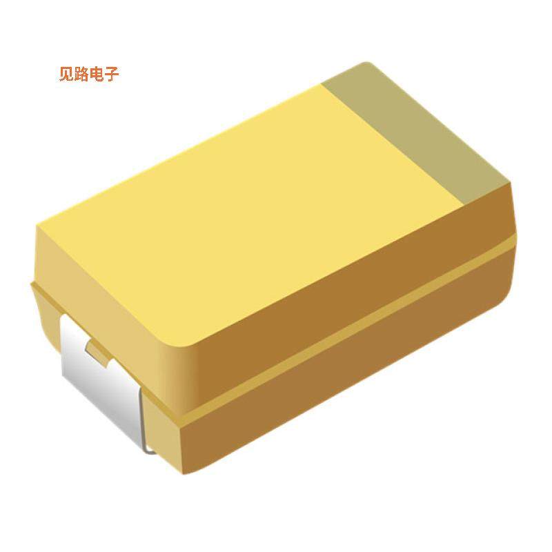 CA45A6R3K107TA -原装[CAP TANT 100UF 10% 6.3V 1206100 F